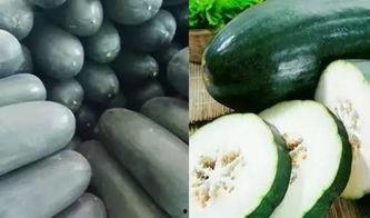 无瓜可吃,探索夏日解暑新风尚  第2张