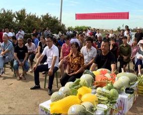 农村吃瓜群众视频,揭秘田间地头的欢乐时光  第3张