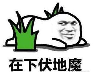 瓜娃子玩吃鸡视频,欢乐无限,笑料横生 第2张 瓜娃子玩吃鸡视频,欢乐无限,笑料横生 第2张