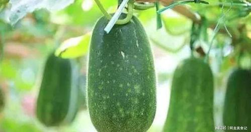 星河待月归吃瓜,一场吃瓜盛宴背后的故事  第3张