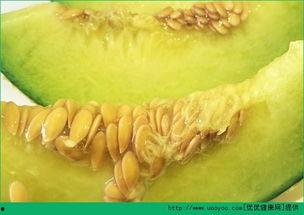 小孩吃哈密瓜冰棍,哈密瓜冰棍,小朋友们的甜蜜解暑神器 第2张 小孩吃哈密瓜冰棍,哈密瓜冰棍,小朋友们的甜蜜解暑神器 第2张