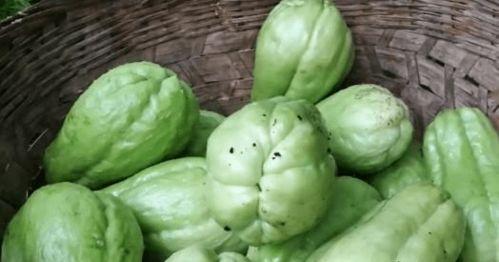 花钱吃瓜的男人,揭秘花钱吃瓜的男士  第2张