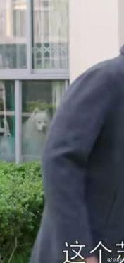 吃瓜群众走路视频,揭秘吃瓜群众日常行走风采 第2张 吃瓜群众走路视频,揭秘吃瓜群众日常行走风采 第2张