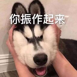 瓜哥吃瓜网音乐在线听,在线畅享海量热门歌曲 第3张 瓜哥吃瓜网音乐在线听,在线畅享海量热门歌曲 第3张