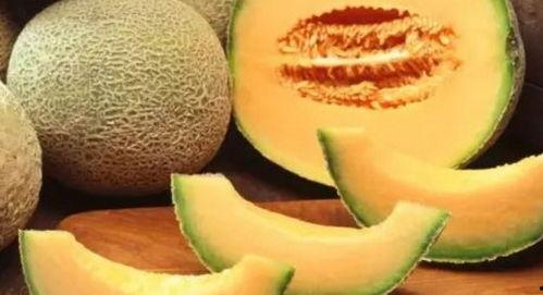 多人吃哈密瓜,多人品尝哈密瓜的美好时光  第3张