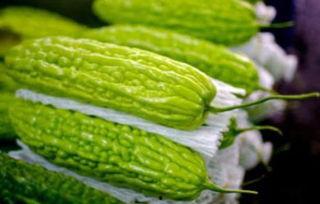 孕妇如何吃吊瓜,营养美味两不误 第3张 孕妇如何吃吊瓜,营养美味两不误 第3张