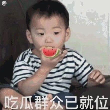 圆形吃瓜表情包,趣味横生的网络文化现象 第3张 圆形吃瓜表情包,趣味横生的网络文化现象 第3张