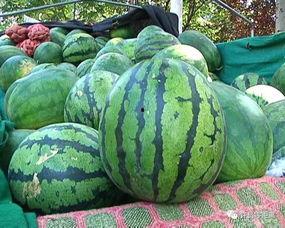 吃瓜和吃瓜群众的区别在哪,揭秘网络围观现象的异同 第2张 吃瓜和吃瓜群众的区别在哪,揭秘网络围观现象的异同 第2张