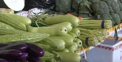 家庭吃瓜系统,解锁欢乐时光的秘籍 第2张 家庭吃瓜系统,解锁欢乐时光的秘籍 第2张