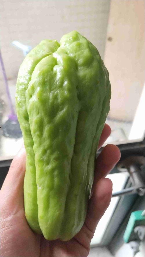 富儿七瓜怎么吃,解锁美味新体验  第2张