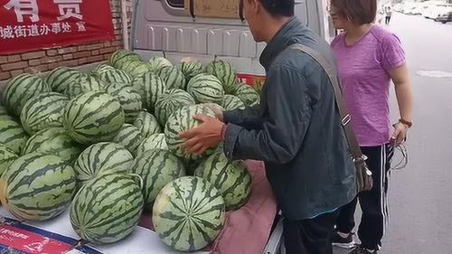 山西运城近日吃瓜,夏日里的甜蜜“瓜”闻 第2张 山西运城近日吃瓜,夏日里的甜蜜“瓜”闻 第2张