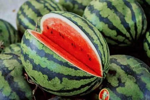 山西运城近日吃瓜,夏日里的甜蜜“瓜”闻 第3张 山西运城近日吃瓜,夏日里的甜蜜“瓜”闻 第3张