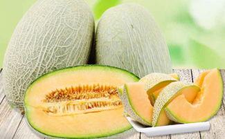 吃哈密瓜嘴边痒,嘴边痒痒体验揭秘 第2张 吃哈密瓜嘴边痒,嘴边痒痒体验揭秘 第2张