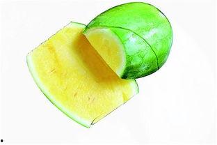 比赛吃瓜速度搞笑  第3张