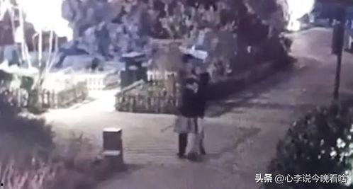 苏州吃瓜完整视频,一场视觉与味蕾的双重享受 第2张 苏州吃瓜完整视频,一场视觉与味蕾的双重享受 第2张