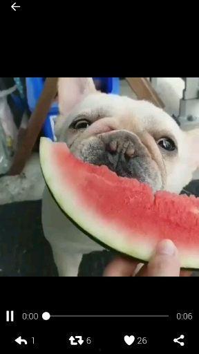 吃瓜群众聊天图片图文,揭秘聊天图片背后的趣味故事 第3张 吃瓜群众聊天图片图文,揭秘聊天图片背后的趣味故事 第3张