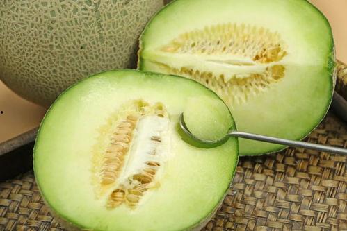 吃蜜瓜的坏处,过量食用需谨慎  第2张