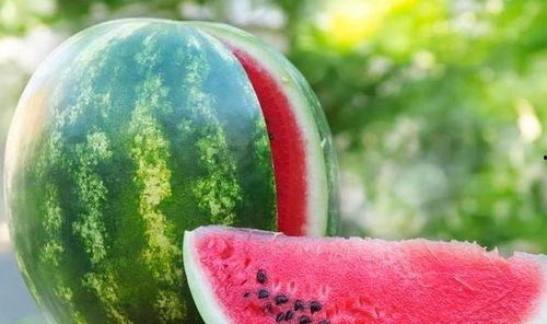 喜欢吃瓜不,探寻瓜类美食的独特魅力 第3张 喜欢吃瓜不,探寻瓜类美食的独特魅力 第3张