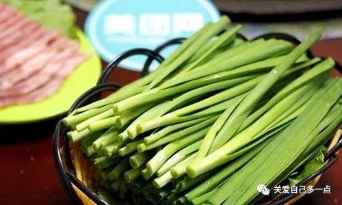 吃瓜蒙主韭菜,网络热词背后的社会现象  第3张