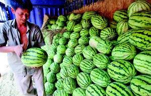 大城市吃瓜,揭秘大城市生活百态  第2张