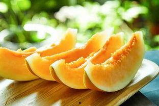 吃蜜瓜的人,甜蜜滋味中的成长与感悟