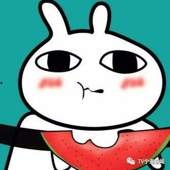 吃很多瓜表情包,揭秘吃瓜表情包的流行魅力 第2张 吃很多瓜表情包,揭秘吃瓜表情包的流行魅力 第2张