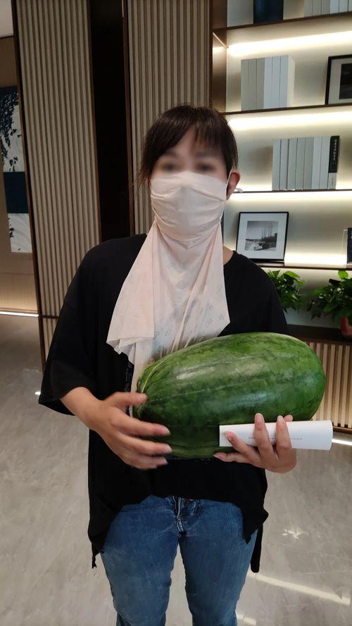 热门吃瓜51年度大瓜,盘点娱乐圈风云变幻 第2张 热门吃瓜51年度大瓜,盘点娱乐圈风云变幻 第2张