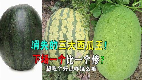 热门吃瓜51年度大瓜,盘点娱乐圈风云变幻 第3张 热门吃瓜51年度大瓜,盘点娱乐圈风云变幻 第3张