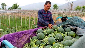 吃瓜群众长泰区,吃瓜群众眼中的魅力之城 第2张 吃瓜群众长泰区,吃瓜群众眼中的魅力之城 第2张