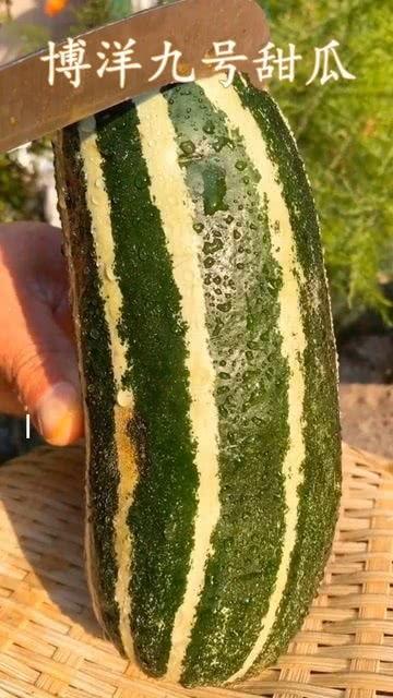 最近都没有瓜吃,揭秘近期娱乐圈无料可爆的幕后真相