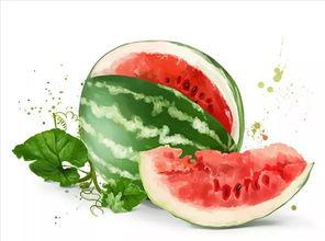 吃瓜作首诗,一瓜在手，诗情画意尽收眼底  第3张