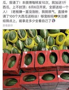 吃瓜奖品,揭秘吃瓜大奖背后的惊喜与乐趣