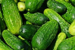 梦见吃甜鲜瓜,甜蜜瓜果的奇幻之旅 第3张 梦见吃甜鲜瓜,甜蜜瓜果的奇幻之旅 第3张