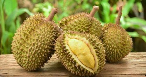 榴莲可以和角瓜一起吃吗,健康美味两不误