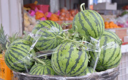 画完吃瓜,一场视觉盛宴的吃瓜之旅 第2张 画完吃瓜,一场视觉盛宴的吃瓜之旅 第2张