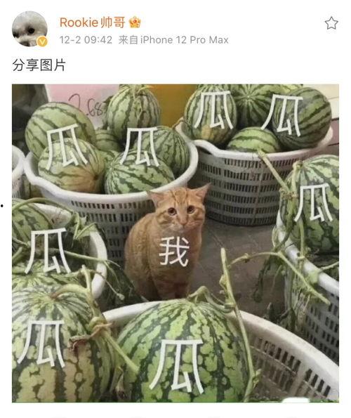 双e吃瓜,揭秘娱乐圈背后的那些事儿  第2张