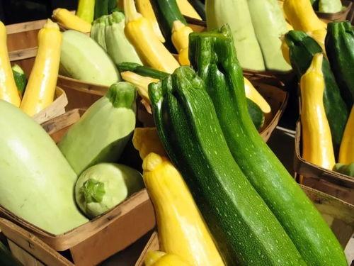 小说推荐蓝牙吃瓜,一部小说中的蓝牙吃瓜奇遇记 第2张 小说推荐蓝牙吃瓜,一部小说中的蓝牙吃瓜奇遇记 第2张