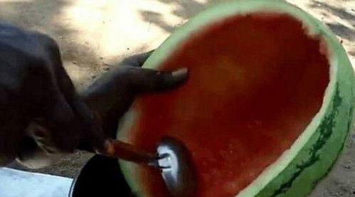 瓜哥视频带你吃大瓜,热门大瓜背后的故事  第3张