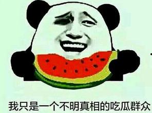 吃瓜群众换搭配,揭秘娱乐圈时尚潮流  第2张