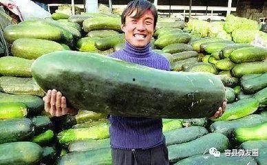 吃瓜群众备用,吃瓜群众背后的故事 第2张 吃瓜群众备用,吃瓜群众背后的故事 第2张