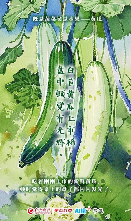 吃瓜节气,品味生活，畅谈人间烟火  第3张