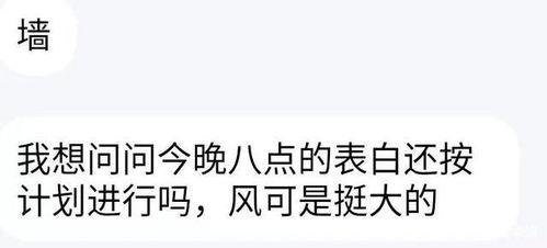 吃瓜被表白后续