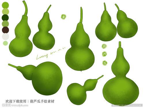 吃瓜子的葫芦瓜图片  第2张