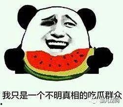 吃瓜群众的瓜是瓜子?,吃瓜群众瓜中寻瓜子的趣味探索