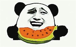 吃瓜群众的瓜是瓜子?,吃瓜群众瓜中寻瓜子的趣味探索 第2张 吃瓜群众的瓜是瓜子?,吃瓜群众瓜中寻瓜子的趣味探索 第2张