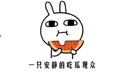 吃瓜群众的瓜是瓜子?,吃瓜群众瓜中寻瓜子的趣味探索 第3张 吃瓜群众的瓜是瓜子?,吃瓜群众瓜中寻瓜子的趣味探索 第3张