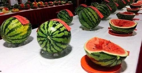 乡村吃瓜照片 第3张 乡村吃瓜照片 第3张