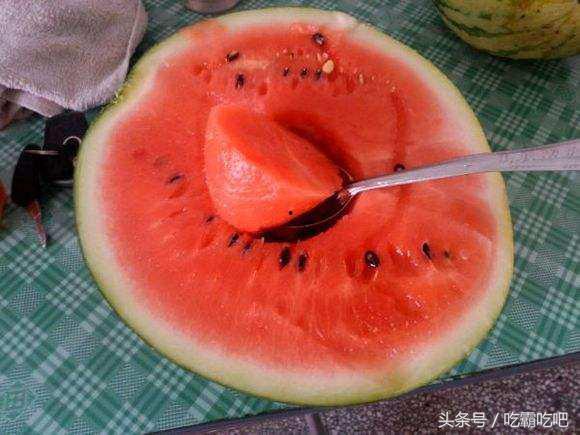 日网吃瓜,娱乐圈最新吃瓜大揭秘！  第2张