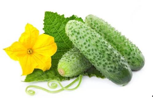 苏宝珠吃瓜系统,揭秘娱乐圈幕后风云