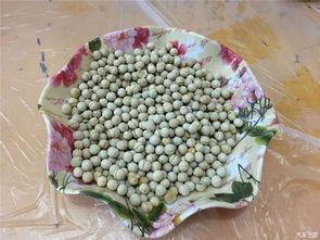 五一每日吃瓜,每日吃瓜不停歇，揭秘娱乐圈热点事件  第2张